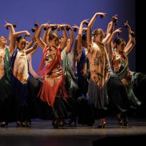 Fotografía de Talleres Danza Española (galería 2) - Conservatorio de Danza